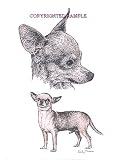 Chihuahua - Double Image by Cindy Farmer