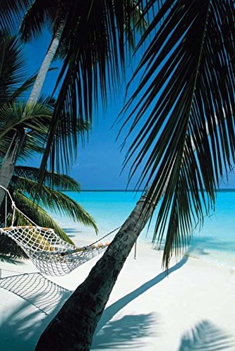 Palm View Hammock Poster Art Print