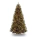 Pre LIT Artificial Christmas Tree National Tree 9, 700 Clear Lights 51ZV3ezjZmL. SL75 Pre LIT Artificial Christmas Tree National Tree 9, 700 Clear Lights