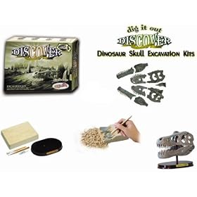 Dinosaur Skull Excavation Kit - Medium