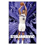 Peja Stojakovic Poster (3875)