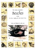 The Nature of Florida's Beaches Including Sea Beans, Laughing Gulls and Mermaids' Purses
