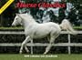 Horse Classics