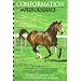 Conformation and Performance: A Guide to the Performance Consequences of Common Conformation Points