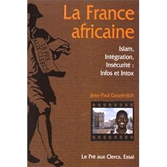 La France africaine
