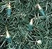 Novelty Lights 10 Light Clear Christmas Craft Mini Light Set, Non-Connectable, Green Wire, 4' Long