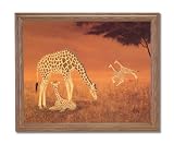 African Giraffe Family Animal Wildlife Home Decor Wall Picture Oak Framed Art Print