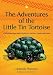 The Adventures of the Little Tin Tortoise: A Self-esteem Story with Activities for Teachers, Parents and Carers
