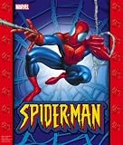 Spiderman Trick or Treat Bag