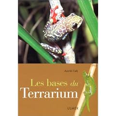 Les Bases du terrarium