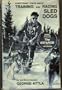 Everything I know about training and racing sled dogs