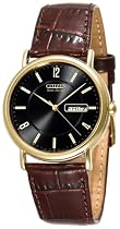 Citizen Men's Eco-Drive Gold-Tone Leather Watch #BM8242-08E