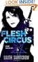 Flesh Circus (Jill Kismet, Hunter, Book 4)