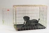 ProSelect Gold Fold-Down Dog Crate - X-Small 18L x 12W x 15H