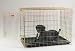 ProSelect Gold Fold-Down Dog Crate - X-Small 18"L x 12"W x 15"H
