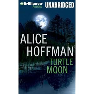 Turtle Moon