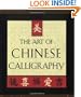 The Art of Chinese Calligraphy (Mega Mini Kits)