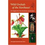 Wild Orchids of the Northeast: New England, New York, Pennsylvania, and New Jersey book cover