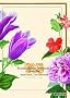 Florilegium Imperiale: Botanische Sch�tze f�r Kaiser Franz I.: Botanische Sch�tze f�r Kaiser Franz I. von �sterreich