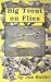 Book Big Trout on Flies