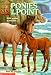 Animal Ark Heaven