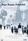 Seeking Locations in Palestine for "The Gospel Accordin ( Sopralluoghi in Palestina per il vangelo secondo Matteo ) [ NON-USA FORMAT, PAL, Reg.0 Import - Italy ]