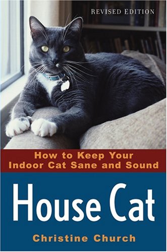 house cat how to keep your indoor cat sane and sound