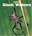 Book Black Widows (Naturebooks)