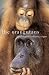 Book The Orangutans: Their Evolution, Behavior, and Future