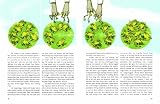 picture of The Magic of Reality: How we know what\