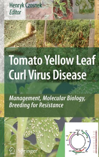 Tomato Yellow Leaf Curl Virus Disease