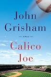 Calico Joe (Random House Large Print)
