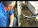 Central Air Conditioner Maintenance And Repair
