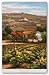 Vineyard View by Rosa Chavez 36"x24" Art Print Poster