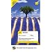 Teach Yourself French Complete Course (Book + 2CD's) (TY: Complete Courses)