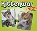 Book Kittenwar 2009 Daily Calendar