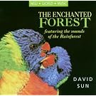 The Enchanted Forest