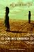 Books : Dear Mrs. Lindbergh: A Novel