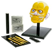 CSI Facial Reconstruction Kit