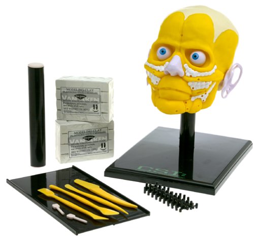 Childrens Toyshop  Used : CSI Facial Reconstruction Kit