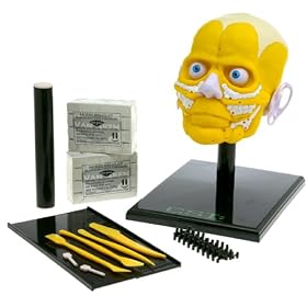 CSI Facial Reconstruction Kit