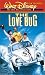 The Love Bug