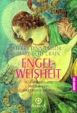 Engel-Weisheit: 365 Einsichten und Meditationen aus h&ouml;heren Sph&auml;ren - Terry Lynn Taylor