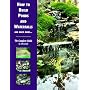 How to Build Ponds and Waterfalls: The Complete Guide