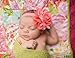 QS Baby Girl's Elastic Headbands Chiffon Hair Flower (10 Pack)