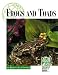 Endangered Animals and Habitats - Frogs and Toads