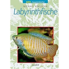 Labyrinthfische