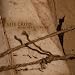 Life Cried-Banished Psalms