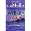 Walking on Water: Reaching God in Our Time