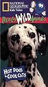 National Geographic's Really Wild Animals: Hot Dogs and Cool Cats [VHS]